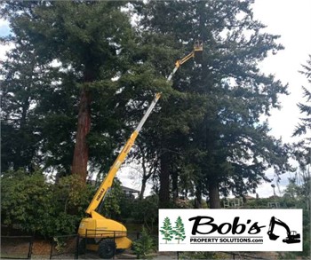 Enhancing Dupont's Natural Beauty: The Importance of Tree Trimming with Bob's Property Solutions